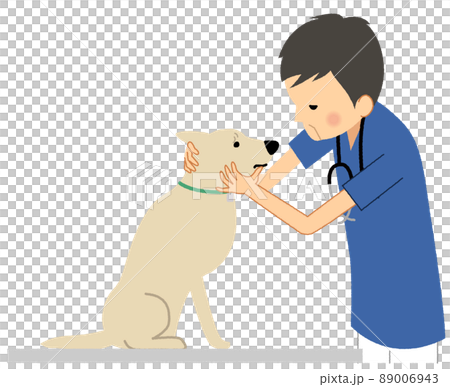 犬を診察する獣医師 89006943