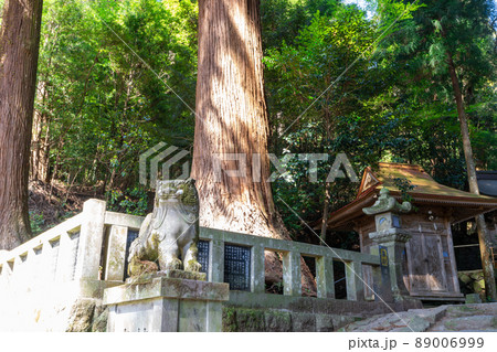 《熊本県》小国両神社　阿蘇郡小国町 89006999