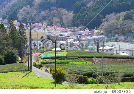 高所から眺める寄村の風景《松田町》 89007359