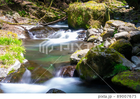 《熊本県》立岩渓谷 阿蘇郡南小国町 《熊本県》立岩渓谷 阿蘇郡南小国町 89007675