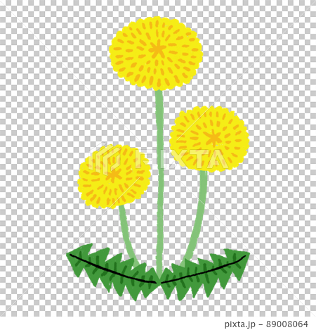 手繪蒲公英花 89008064