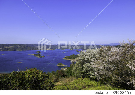 《長崎県 大山展望台》 大山展望台から桜といろは島の風景 89008455