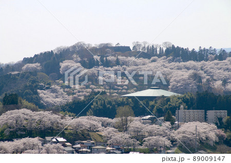 春の霞ヶ城公園（福島県・二本松市） 89009147