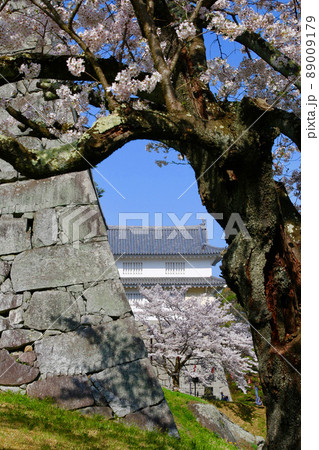 春の霞ヶ城公園(福島県・二本松市) 春の霞ヶ城公園(福島県・二本松市) 89009179