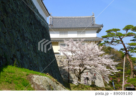 春の霞ヶ城公園(福島県・二本松市) 春の霞ヶ城公園(福島県・二本松市) 89009180