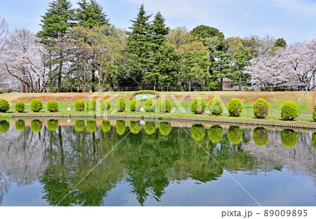 大崎公園 園内風景 大崎公園 園内風景 89009895
