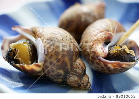 小皿に盛り付けられたバイガイ煮つけ　アップ 89010655