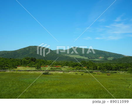 西側から眺める八幡岳の山容 西側から眺める八幡岳の山容 89011099