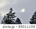 冬の太陽（幌延町） 89011108