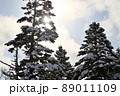 冬の弱い日差し（幌延町） 89011109
