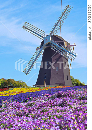 鶴見緑地の風車と花畑 鶴見緑地の風車と花畑 89011230
