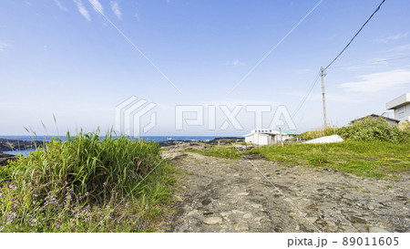 城ヶ島の春　 89011605