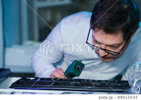 Portrait of a male laboratory assistant. Watching the seeds grow Portrait of a male laboratory assistant. Watching the seeds grow 89012034