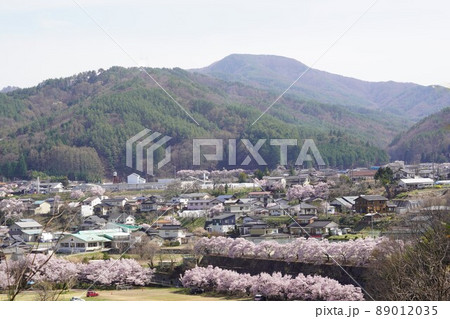 信州長野・高遠城址さくら祭り・日本三大桜名所、高遠の小彼岸桜が天下第一の桜です。 89012035