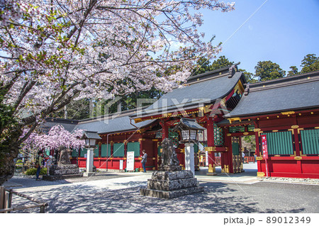 春の塩竈神社 89012349