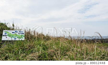 城ヶ島の春　 89012448