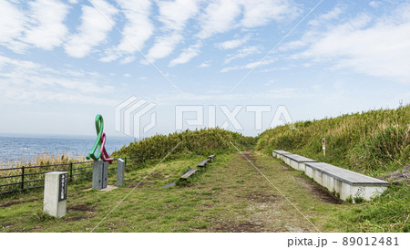 城ヶ島の春 城ヶ島の春 89012481
