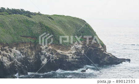 城ヶ島の春 城ヶ島の春 89012555