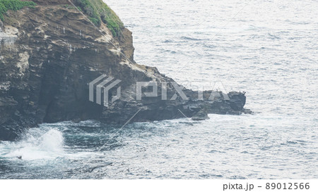 城ヶ島の春 城ヶ島の春 89012566