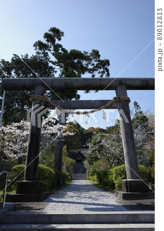 千葉県南房総市の料理の神様で有名な高家神社の鳥居 89012813