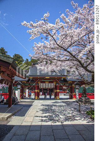 春の塩竈神社 春の塩竈神社 89013267