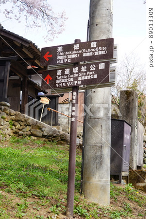 信州長野・高遠城址さくら祭り・日本三大桜名所、高遠の小彼岸桜が天下第一の桜です。 89013309
