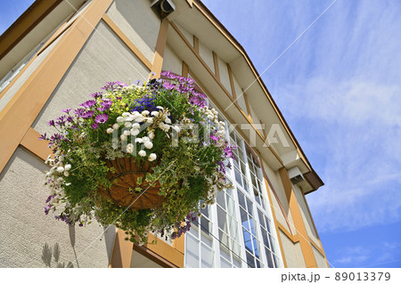 花籠 花籠 89013379