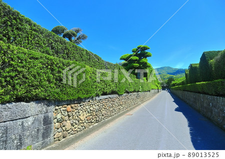 【鹿児島県】快晴下の知覧武武家屋敷通り 【鹿児島県】快晴下の知覧武武家屋敷通り 89013525