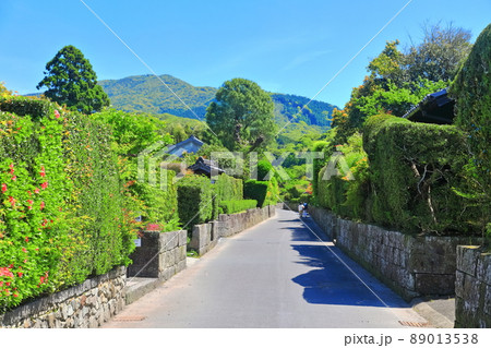 【鹿児島県】快晴下の知覧武武家屋敷通り  89013538