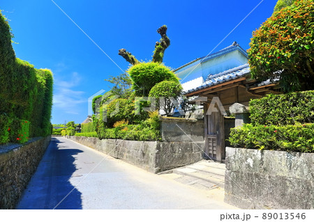 【鹿児島県】快晴下の知覧武武家屋敷通り 【鹿児島県】快晴下の知覧武武家屋敷通り 89013546