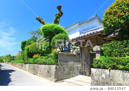 【鹿児島県】快晴下の知覧武武家屋敷通り  89013547