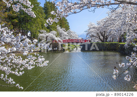 春の松が岬公園 春の松が岬公園 89014226