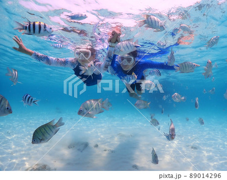 Tourist people diving with snorkel to see nemo fish , beautiful fish and coral at Samaesarn Island of Thailand Tourist people diving with snorkel to see nemo fish , beautiful fish and coral at Samaesarn Island of Thailand 89014296