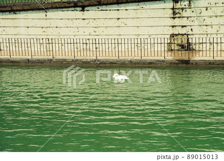 カゼルタ宮殿 カゼルタ宮殿 89015013