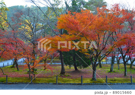晩秋に歩く京都市南禅寺の三門側の紅葉が美しい 晩秋に歩く京都市南禅寺の三門側の紅葉が美しい 89015660