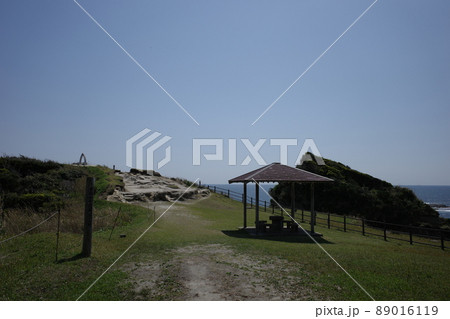 快晴の鵜原理想郷の手弱女平の風景 89016119