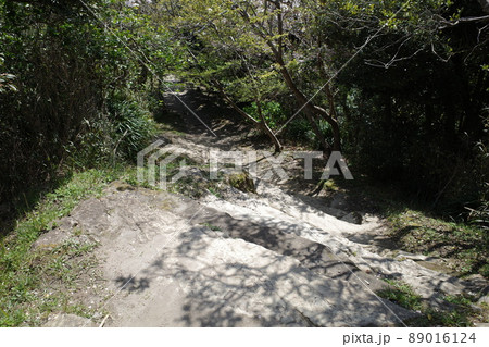 鵜原理想郷の景勝地へと続く遊歩道 89016124