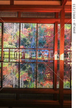 環境芸術の森の紅葉 環境芸術の森の紅葉 89017233