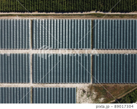 Aerial drone view of huge areas greenhouse for growing strawberries. Greenhouse farming, agriculture industry. Flying over large industrial greenhouses at sunny day. 89017304