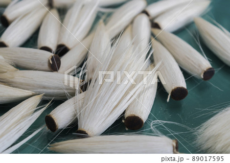 制作中の穂首 89017595