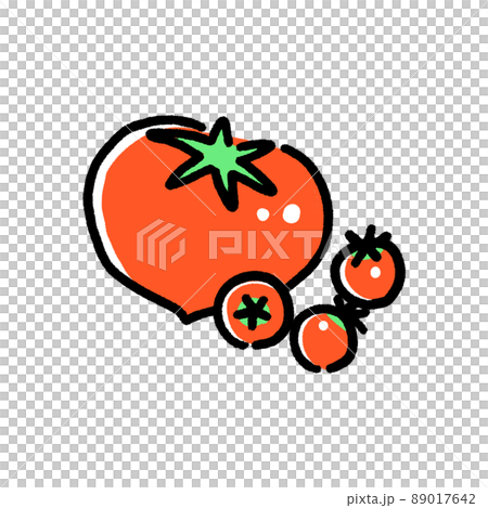 tomato illustration 89017642