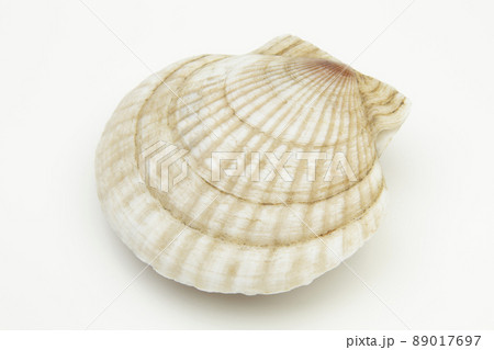 北海道産帆立貝 89017697