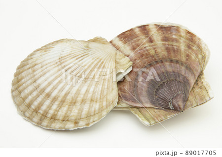 北海道産帆立貝 89017705