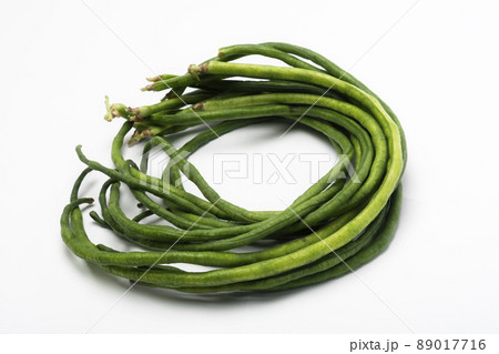 ササゲ ササゲ 89017716