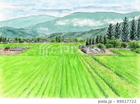 農村の夏のイラスト素材 [89017722] - PIXTA