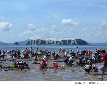 潮干狩り 89017957