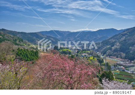 寄村の眺望《松田町》 寄村の眺望《松田町》 89019147
