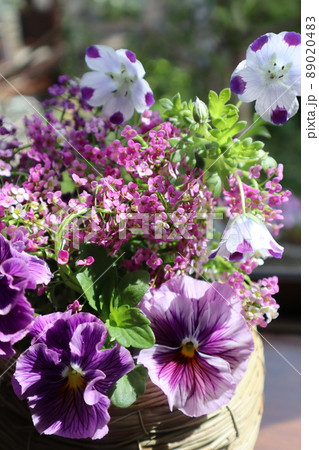 庭の花を出窓に飾る 庭の花を出窓に飾る 89020483