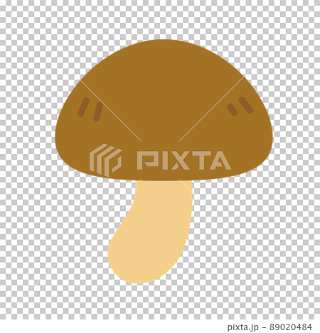 Simple mushroom illustration material 89020484
