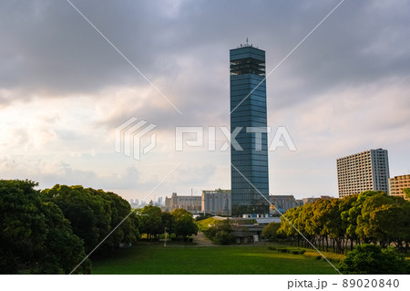 千葉市中央区 夕暮れの千葉ポートタワー 展望の丘から 89020840